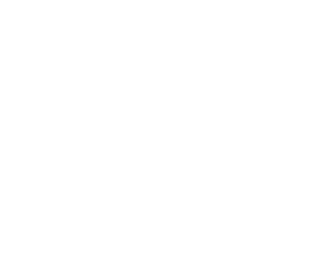 Logo Vital White transparent no letters